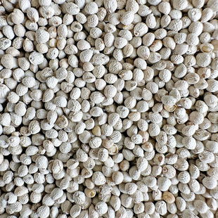 新白苏子大颗粒白苏子软苏子鸟食鸟粮 鹦鹉金丝雀芙蓉鸟黄雀