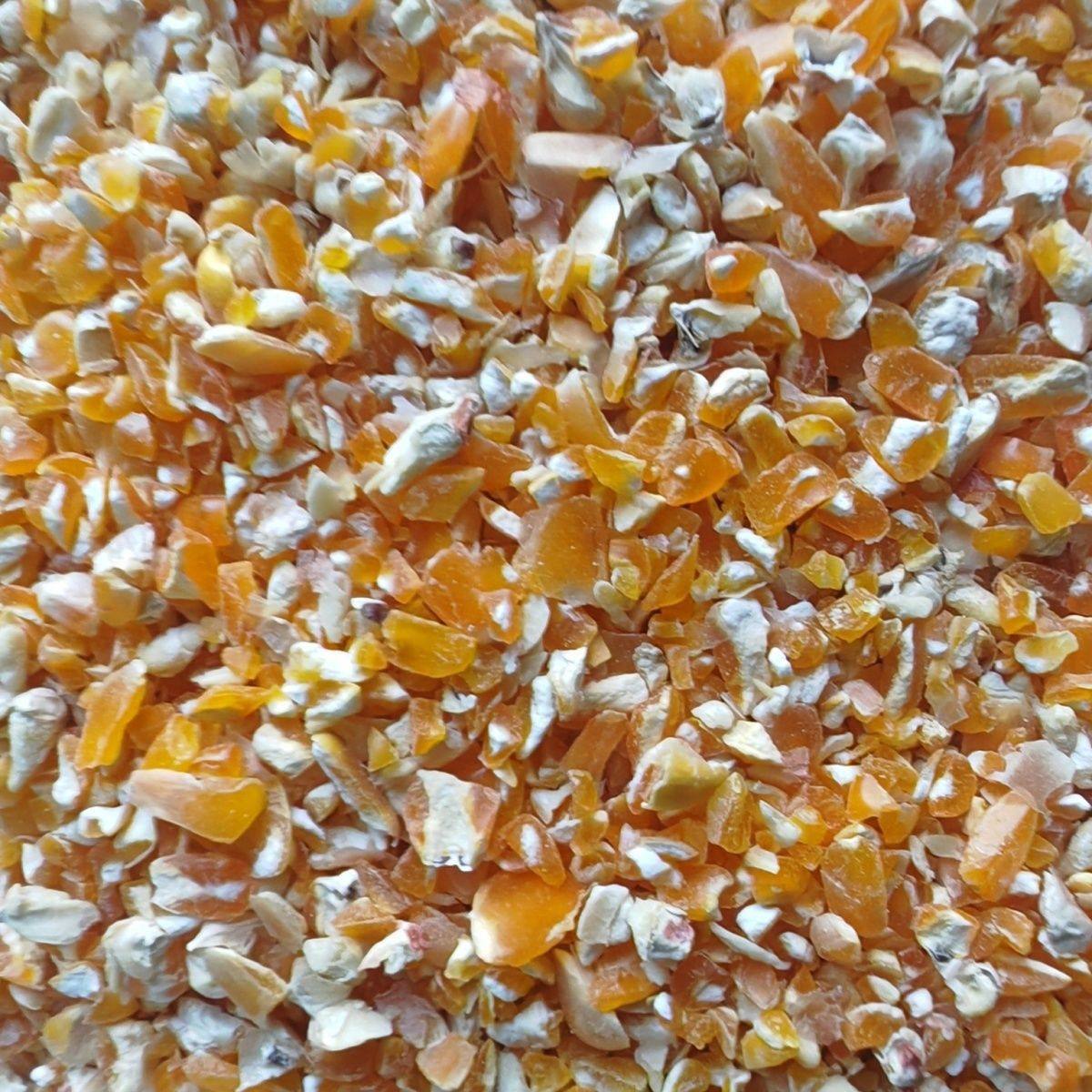 新鲜玉米碎\玉米面喂鸡鹌鹑鸡鸭牛羊饲料粮食鸽子打窝钓鱼直发