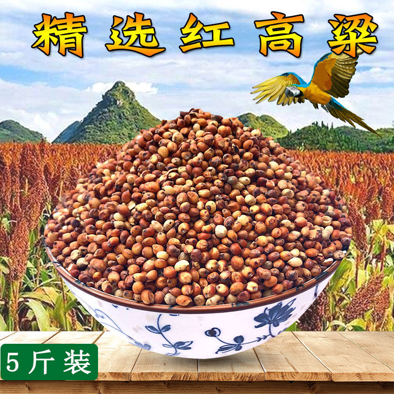新红高粱带皮高粱米鸽子鼠粮食红高粱鸽饲料鸟食鸟粮酿酒原料 5斤