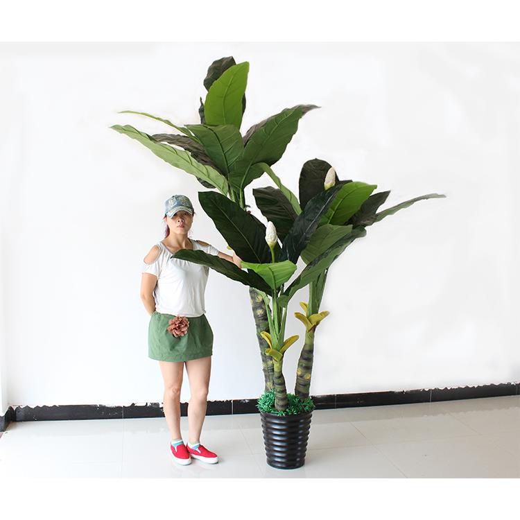 家供大型仿-绿真三杆芭蕉树巨人厂植物直酒店大厅装饰绿植盆栽