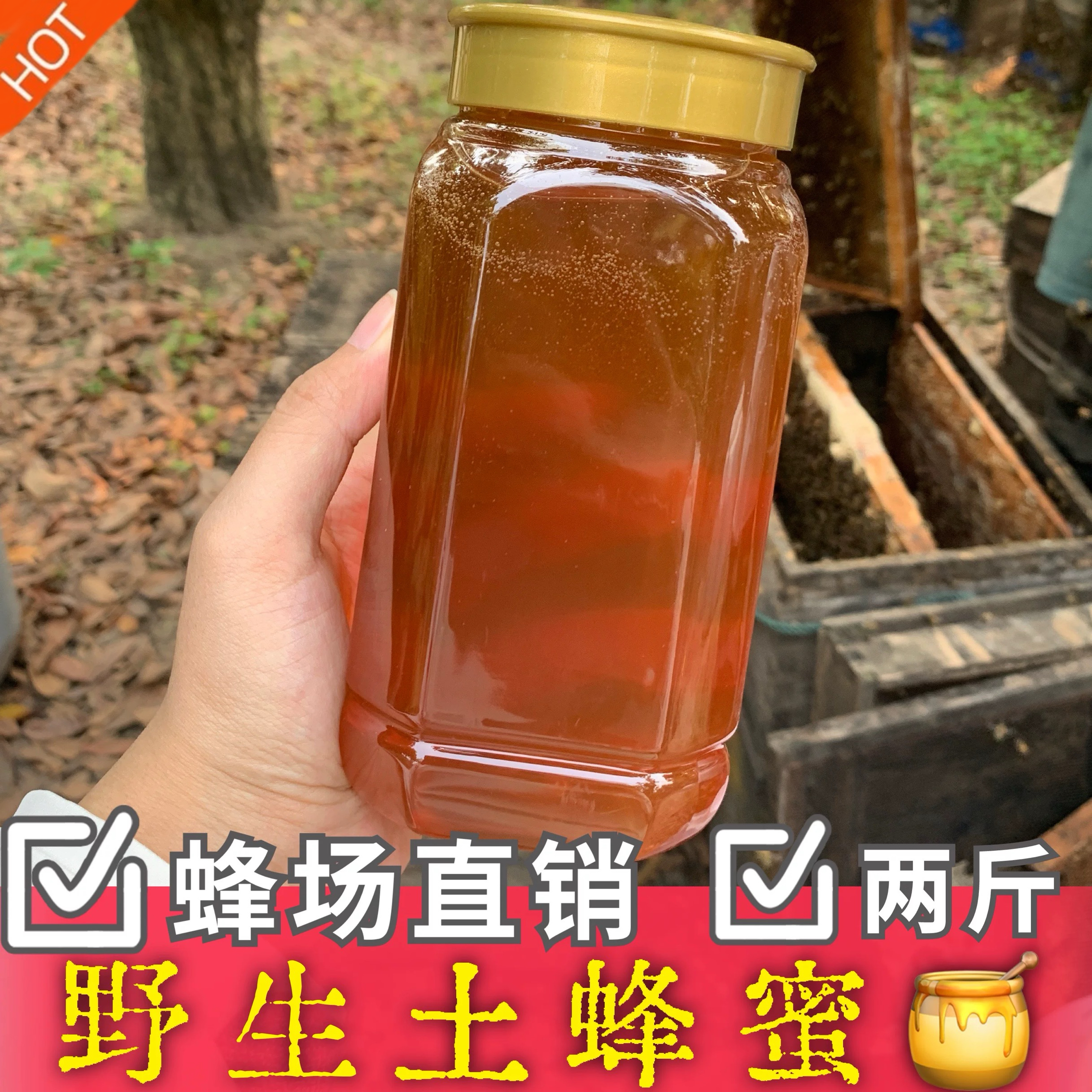 荔枝蜜纯正高州龙眼蜜天然原蜜广东深山土蜂蜜零添加成熟封盖蜜糖