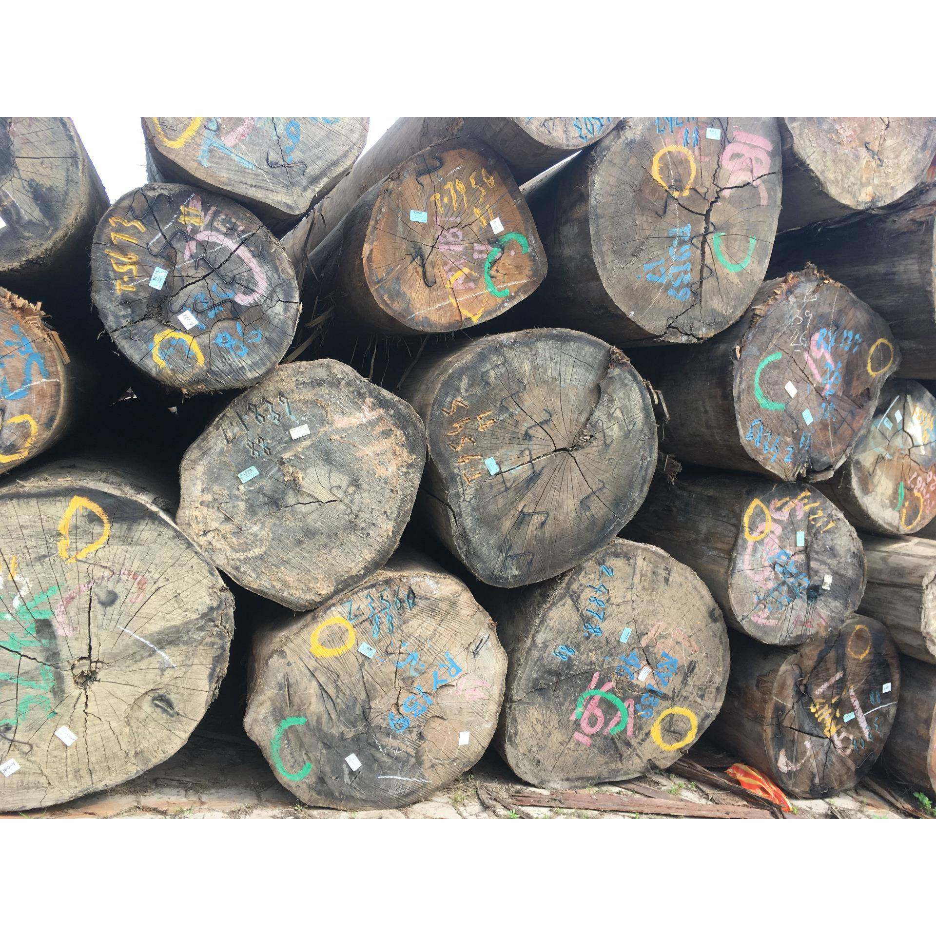 山木樟定尺加工防腐山樟木厂家景观防HOW木腐定制