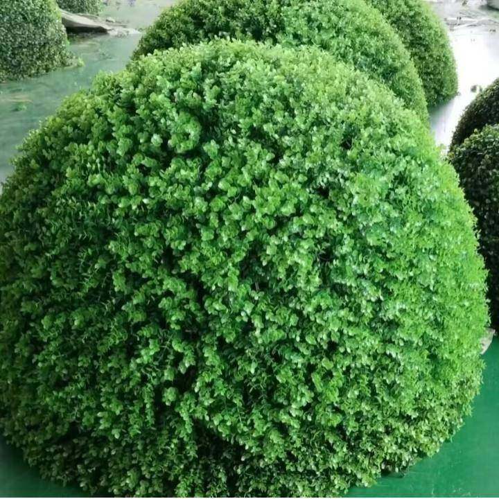 尤加利塑料金草仿真料草球装仿真尤加饰钱用品花球米球兰草球黄塑,鲜花速递/花卉仿真/绿植园艺,仿真绿植,淘宝优惠券,粉丝福利购,淘宝优惠卷