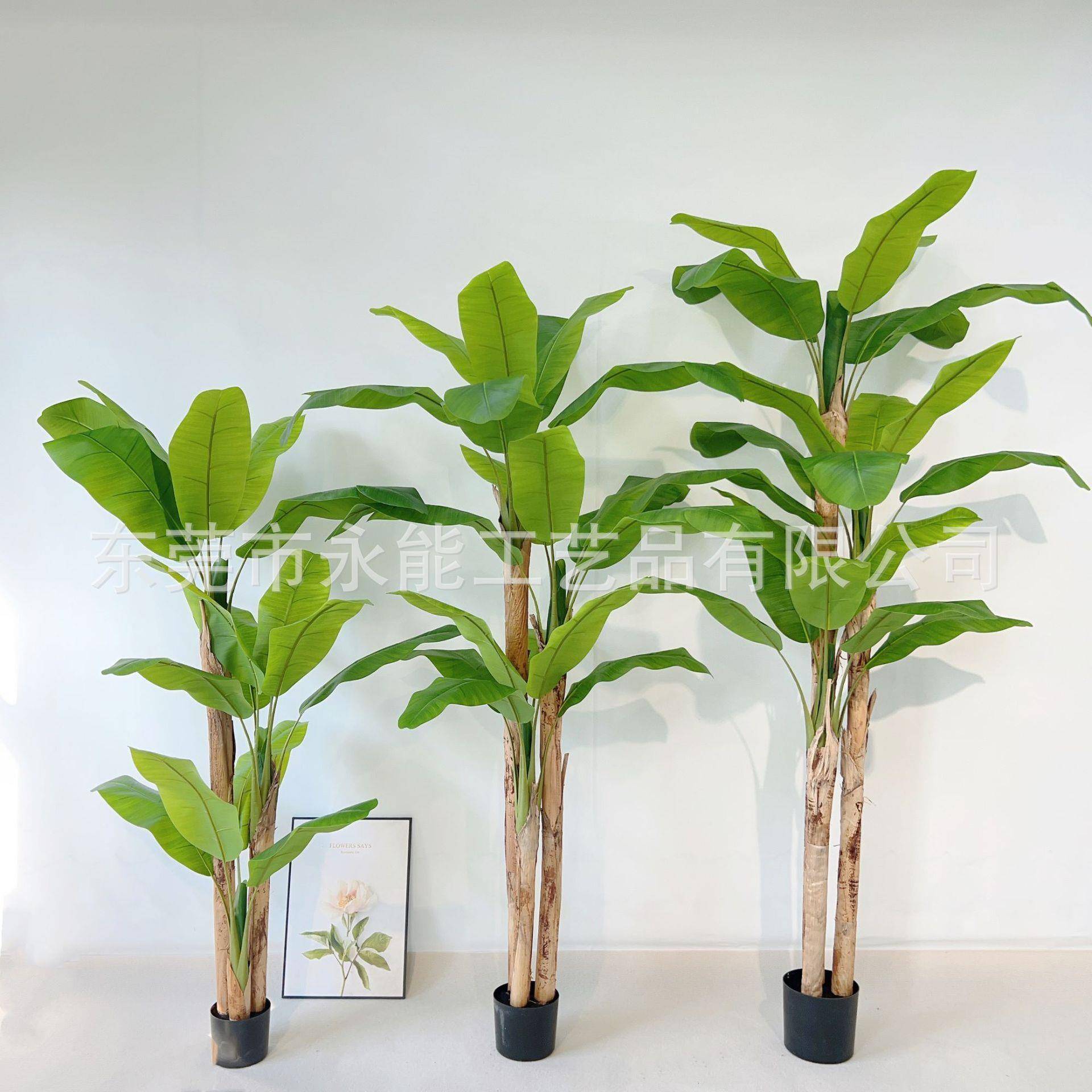 仿真蕉树绿地树盆芭栽室内装饰客厅仿真芭蕉植物旅人植Y-4蕉香蕉