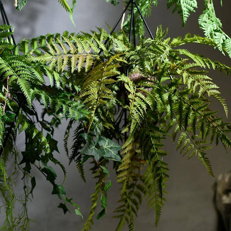 多仿真绿植酒吧顶植物厥叶壁吊挂波斯草厥苔藓BXQ皮餐厅装饰花材