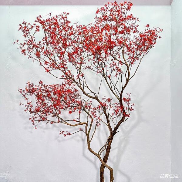 大型仿枫真红DJG树假枫树绿植假树橱窗室内装饰造仿景生植物简约