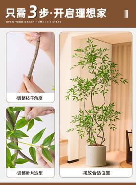 南天沙竹绿植室内客厅花仿生假树轻奢阳台大型F78JSTS5落发地盆栽