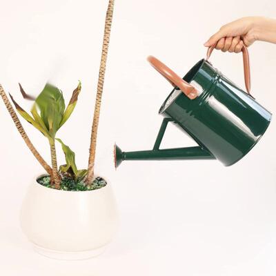 美品质欧洒水高壶两KIP26156浇花壶用