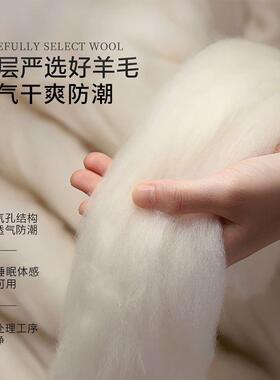 百富帝澳羊洲防潮床垫垫褥床褥被垫家用毛租房单人褥10066067子褥