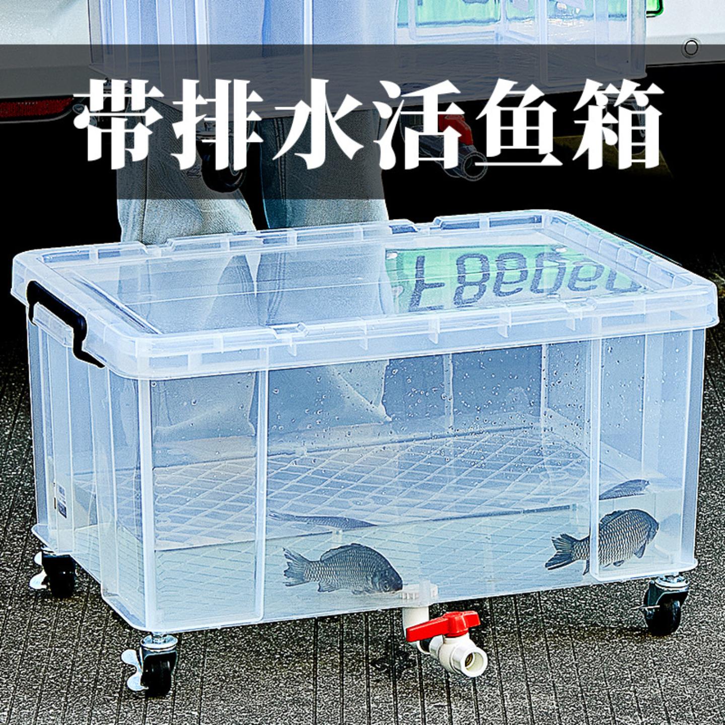 周转箱带排水车载活鱼箱鱼桶打氧