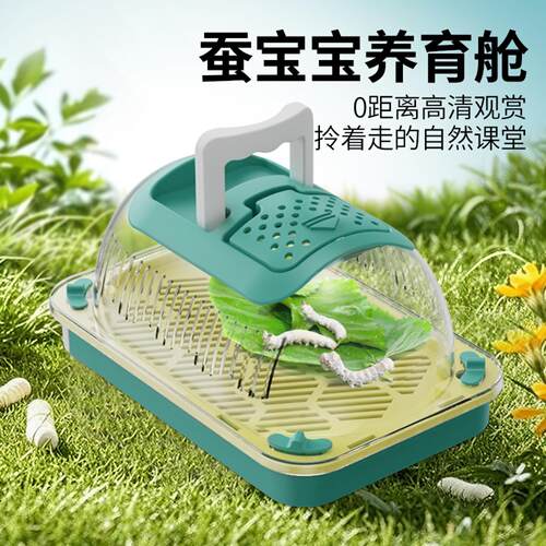 蚕宝宝别墅观察盒学生蜗牛养殖含