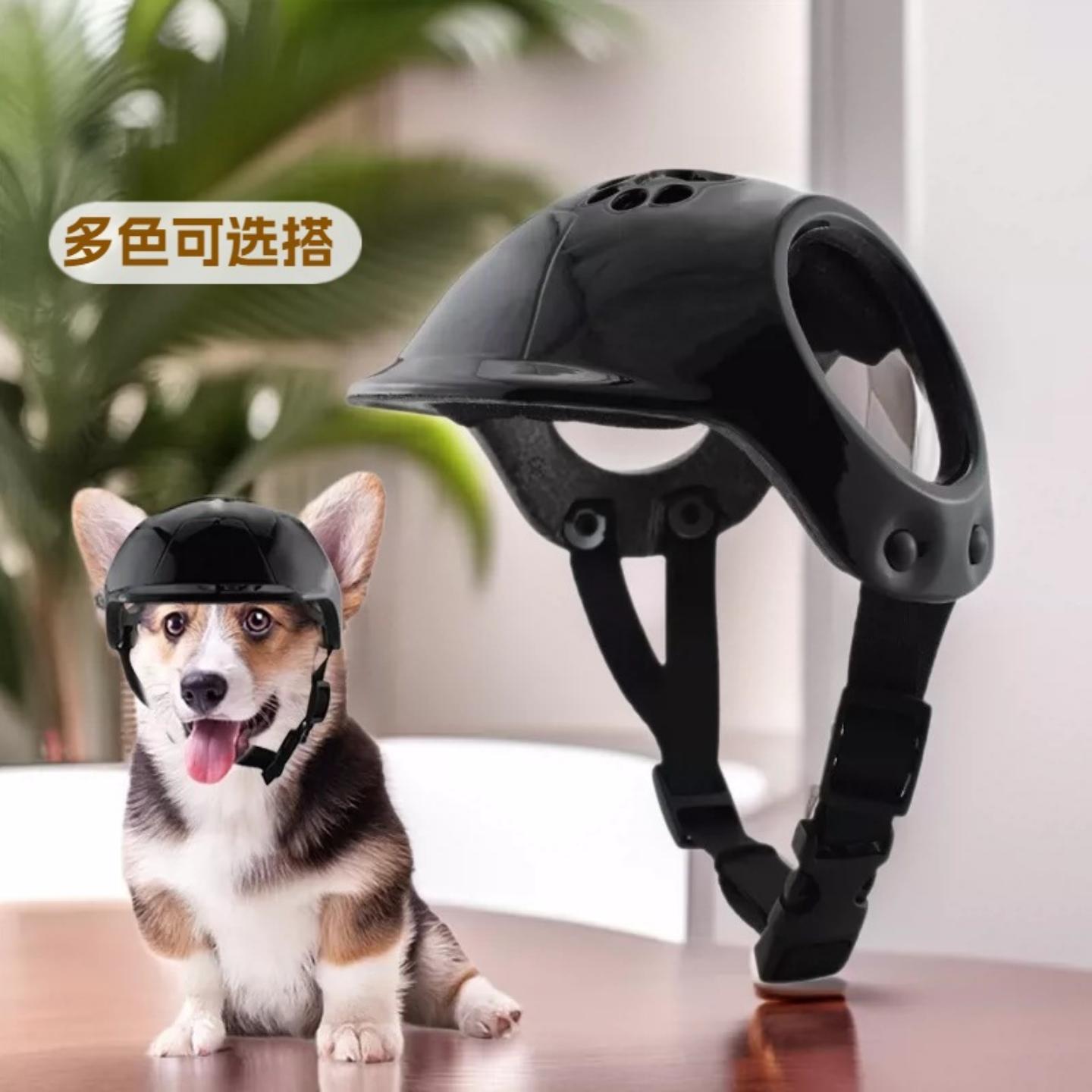 狗狗头盔小型犬宠物安全帽头盔猫