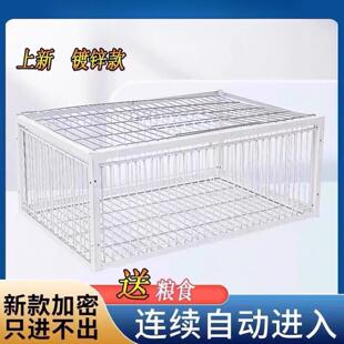 鸽子抓捕器只进不出全自动天落鸟笼子撞门活络户外加密可连续防锈