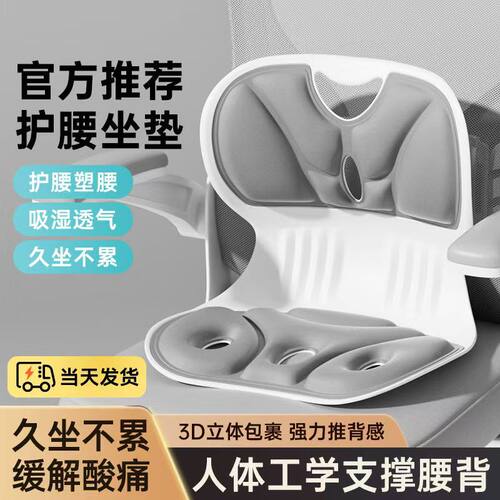跨境护腰坐垫腰托椅子靠垫久坐器办公室腰垫座椅工位靠背人体学