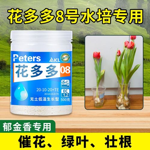 速发花多多8号水培型水溶香郁金肥绿萝水培专物植用肥绿植盆栽养