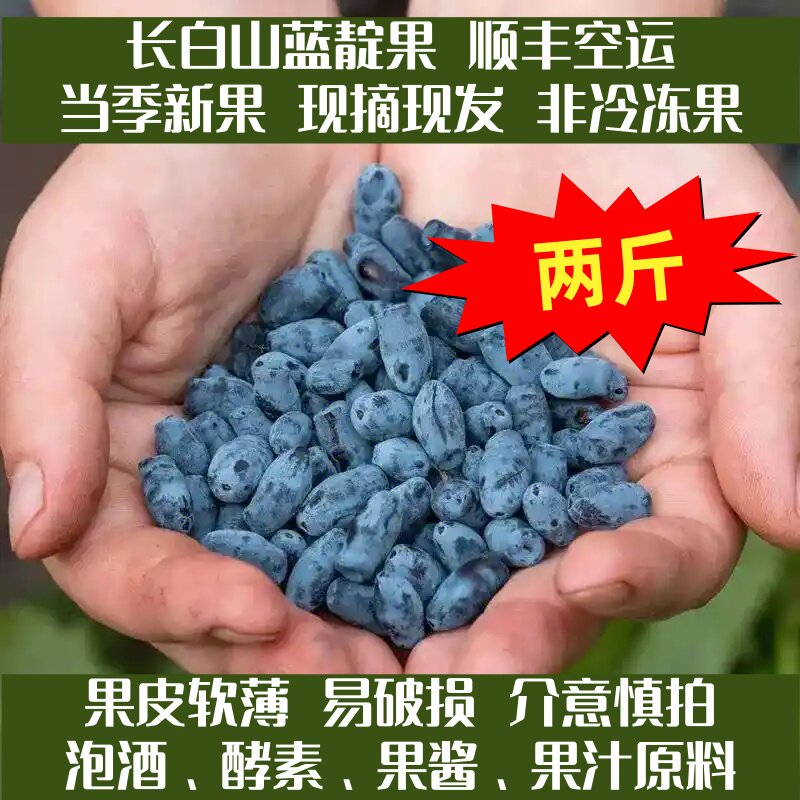 泡酒料酵素料长白山特产蓝靛果新鲜山茄子羊奶子果花青素非蓝莓