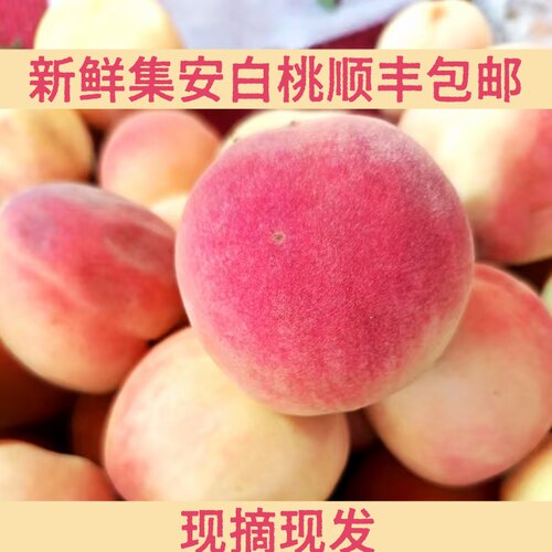 新鲜集安白桃顺丰包邮现摘现发脆甜多汁当季水果东北特产1500g