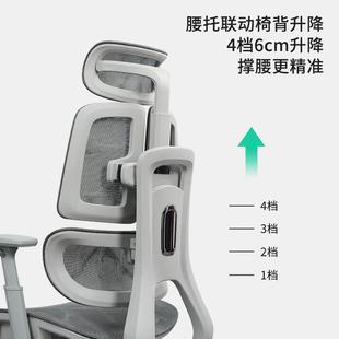 人体工学椅子护腰电脑椅靠背可躺办公室座椅家用舒适久坐电竞椅子
