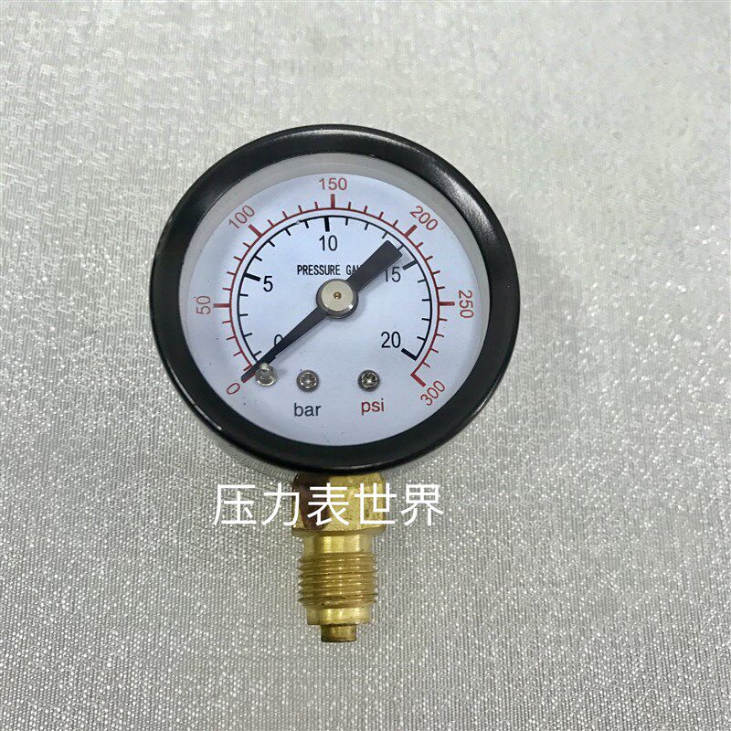 出口型压力计 压力表 压力显示表 y-40 0~20bar 0~300psi G1/8