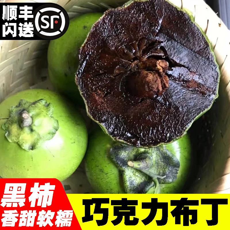 巧克力布丁果新鲜采摘黑柿子