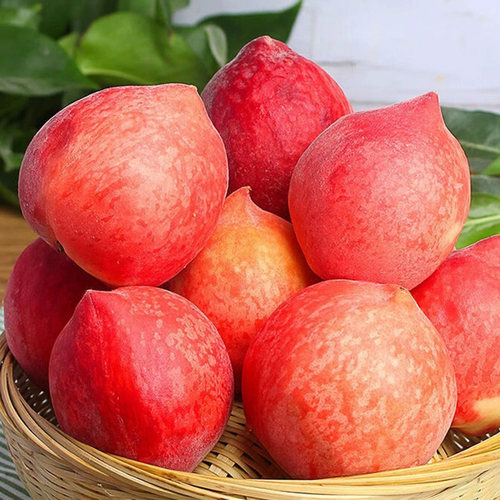 千果娘娘春雪水蜜桃冬脆桃毛桃当季时令桃子整箱孕妇新鲜水果