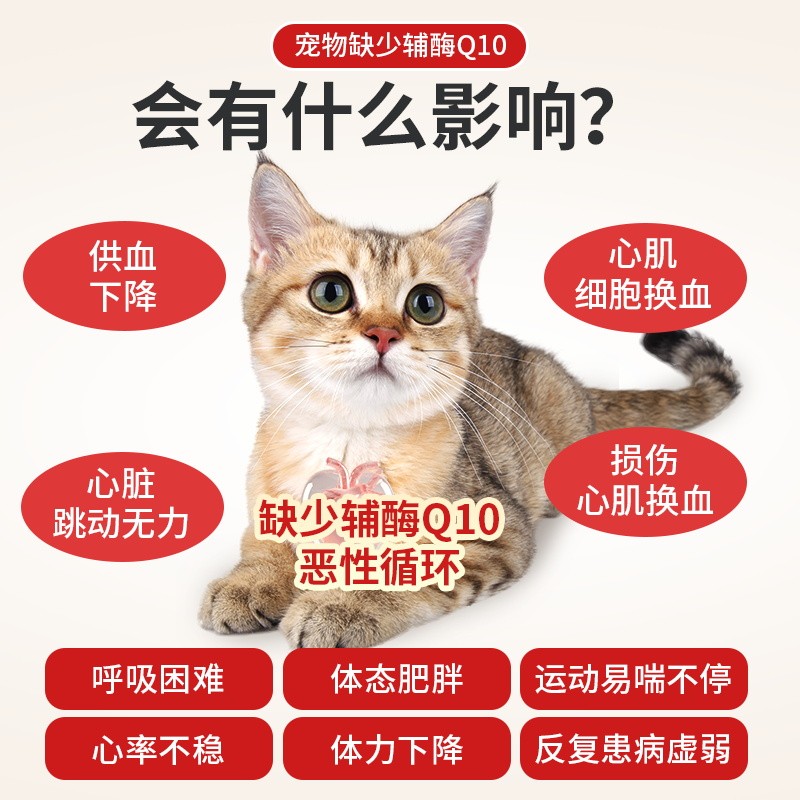 宠物辅酶Q10猫咪狗狗保护心脏健康辅助调理强心脏调理老年猫犬用