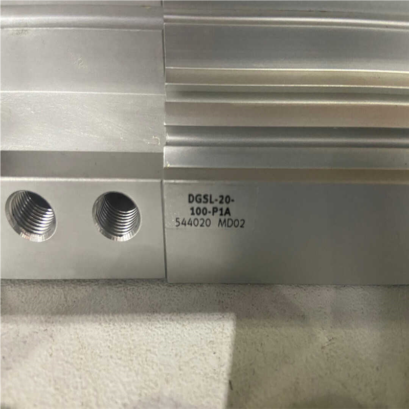 费斯托标准气缸dgsl-20-100-p1a（耶耶电子）