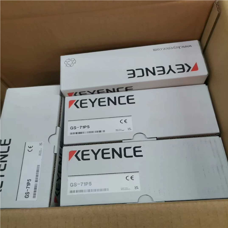 GS-71P5 + GS-A21 基恩士安全锁,(崽崽配件）