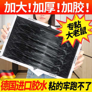 加大粘鼠板超强力粘鼠贴粘大老鼠抓捕引诱鼠笼老鼠夹家用捕鼠