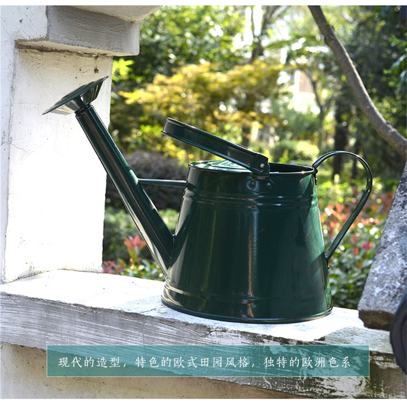 复古家用洒水壶长浇花水壶喷壶热销欧美风园艺铁皮大容量彩色喷壶