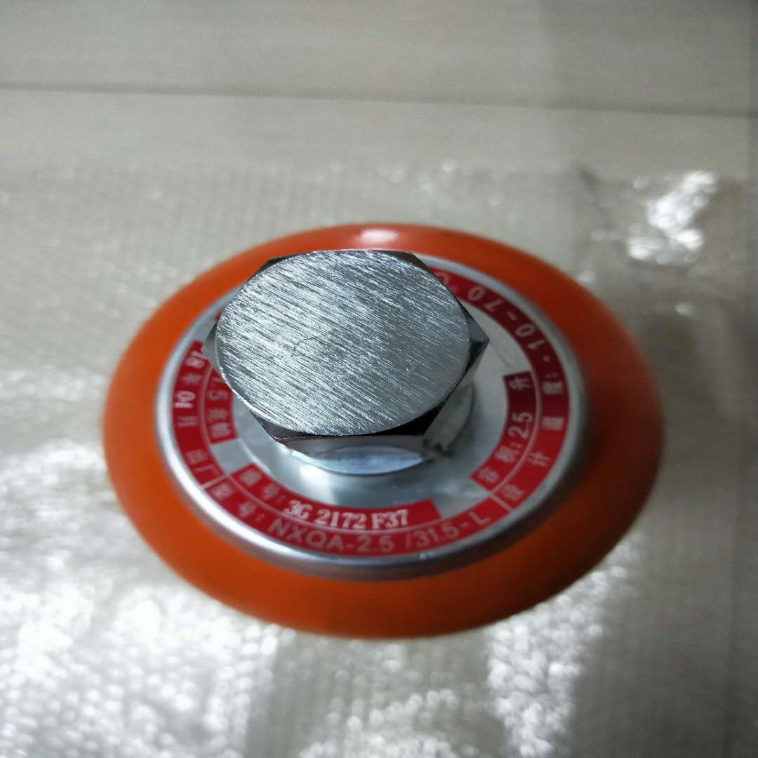 上海SHLIXIN立新NXQA-06310-L储能器NXQA-25315-L原装全新