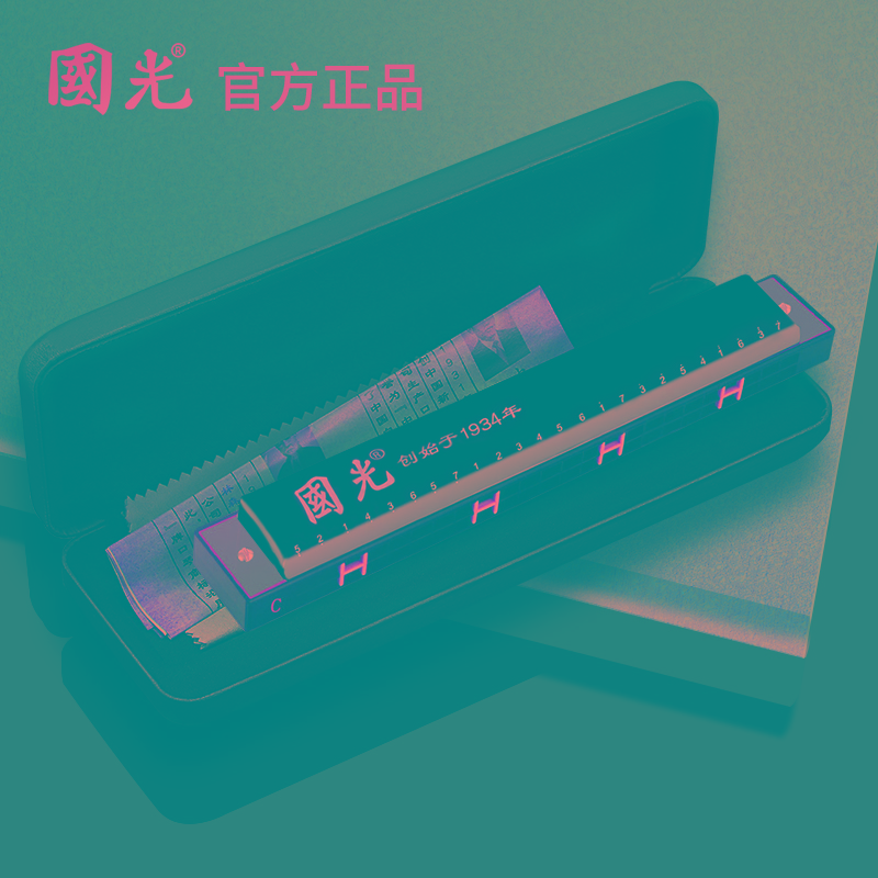 口琴24/28孔复音重音c调宽音域口风琴初学入门学生专业演奏