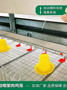 养殖设备热镀锌全自动立体式养PIA鸡鸡设蛋备自动化层叠养鸡全套