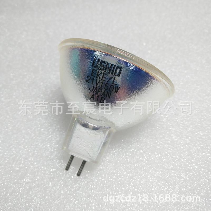 牛尾卤素灯泡EKE/L21V150W1000小时JCR21V150W10H/5显微镜灯