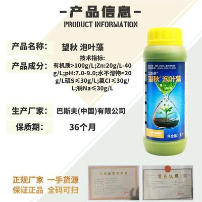 巴斯夫秋望叶藻有机水溶肥大WGL白菜芹菜进生长提高吸促收水泡溶