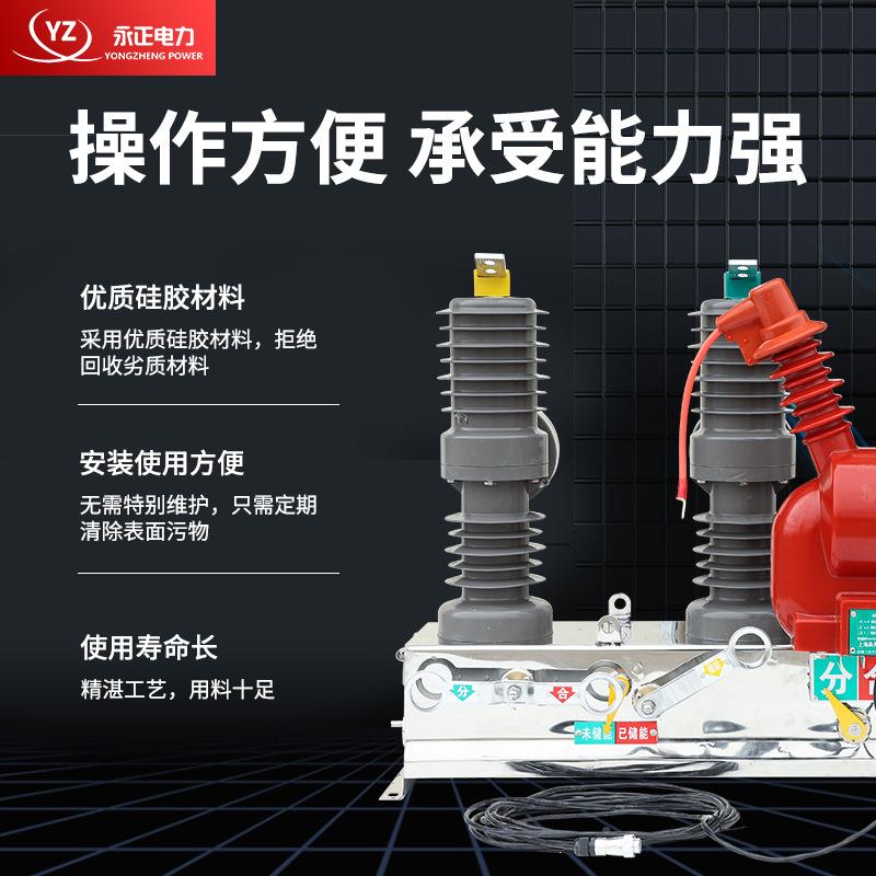 一二次融合真空断路器Z-W2RLV12FG/60-20户外高压柱上真空33断路