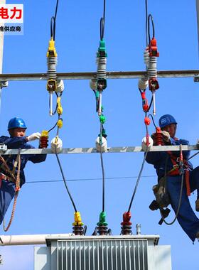 10kv户外高压跌式熔断器R落W12-15/100A智能保CQV0W险R11-1令克开