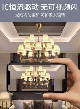 开尔灯照明le开尔精品d节能超亮e27螺口泡球泡家用螺旋吊厂房灯照