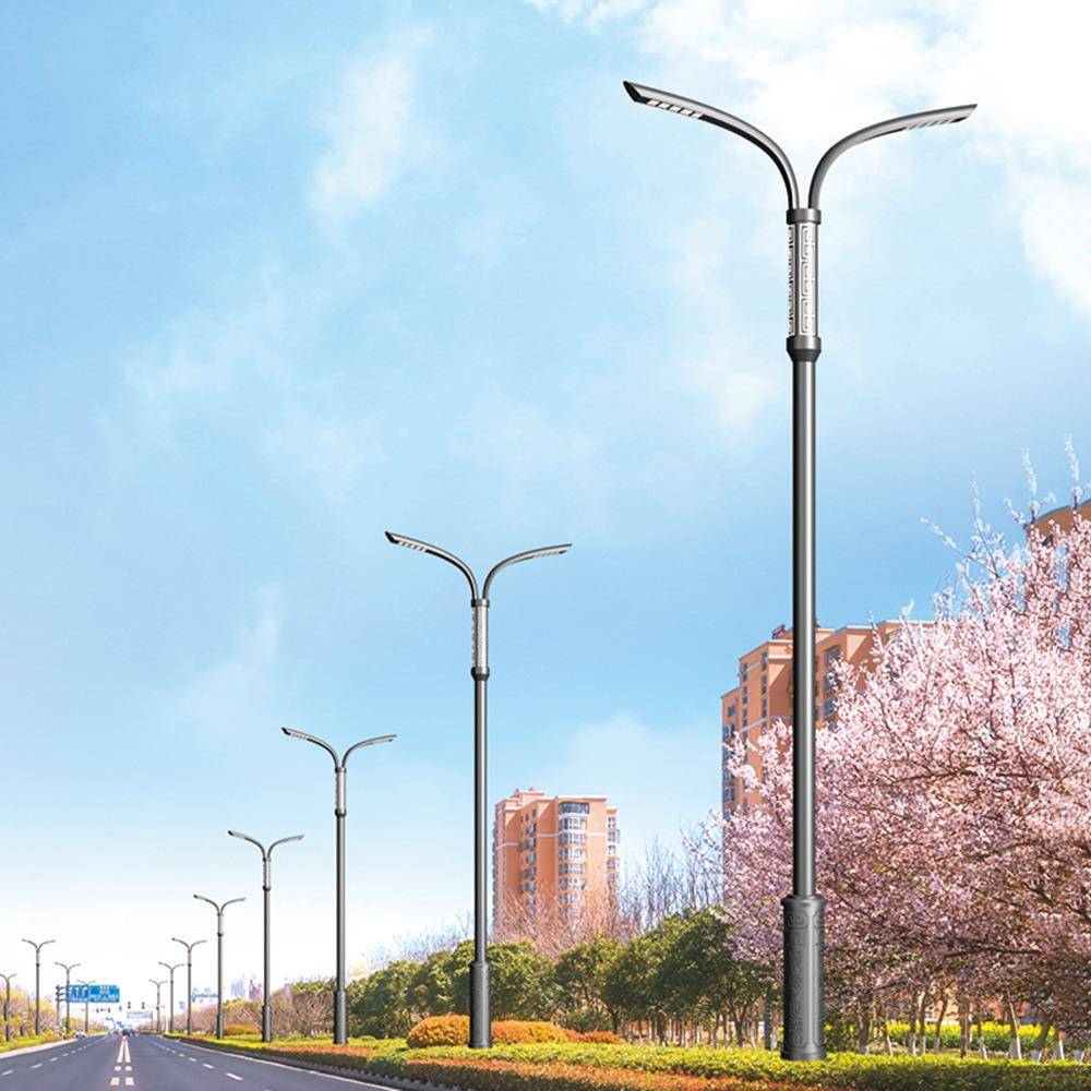 新农村leWd路家6米7厂m80路灯路灯市政8米大功率高灯杆路灯