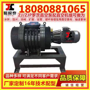 乌木齐22茨K鲁W罗茨茨泵2500L/S罗真空泵ZJP/Z无品牌/J罗式真空机