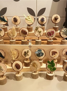 森系装饰摆件桌面干果干花松果玩偶组合手工创意礼V物木墩植物标