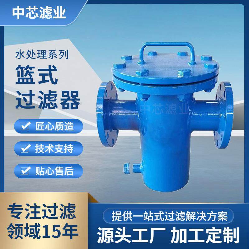 中芯滤业dn300篮式过滤器碳钢篮式过滤器工业用水处理设备