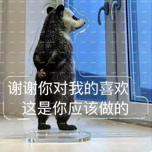 【限购一单】负鼠表情桌面摆件