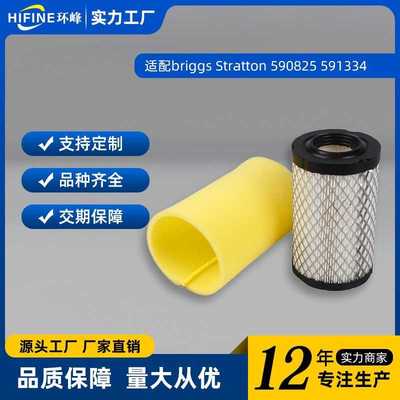 适briggs Stratton 590825 591334 796031 594201剪草机配件滤网