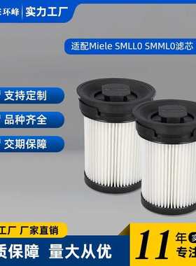 适用Miele 美诺吸尘器配件 Triflex HX1 /HX-FSF 滤网过滤器滤芯