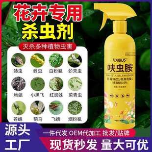 家庭园艺花卉植物强效呋虫胺杀虫剂免稀释喷雾剂小黑飞红蜘蛛专用