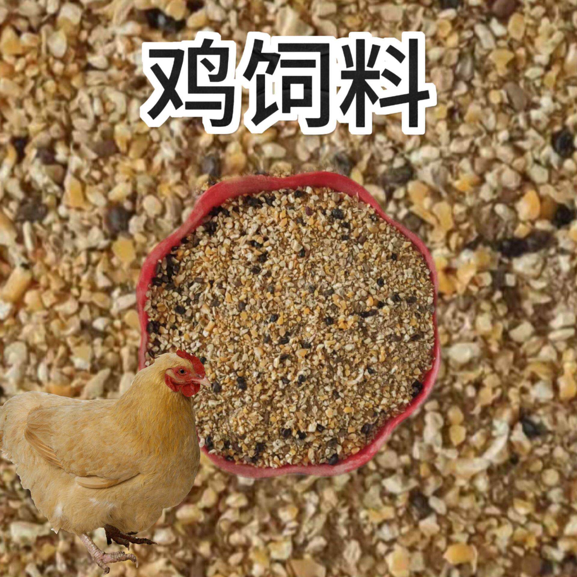 产蛋鸡饲料蛋鸡饲料青年鸡育成期下蛋鸡家禽配合饲料80斤厂家直发
