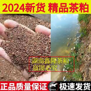 湖南茶籽饼茶粕清塘茶枯粉饼渣水产杀杂鱼福寿螺调水肥水环保清洁