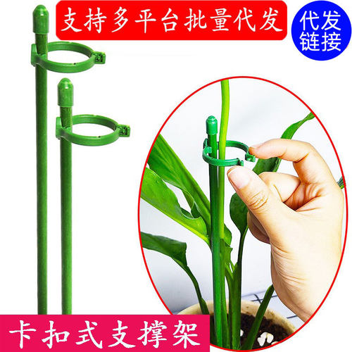 蝴蝶兰支架兰花植物固定杆支撑杆扶直玻纤支架爬藤植物固定杆子