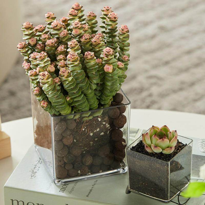 直销加厚透明亚克力花盆正方形水培绿植多肉花瓶插花方缸摆件花瓶,家居饰品,花瓶,淘宝优惠券,粉丝福利购,淘宝优惠卷